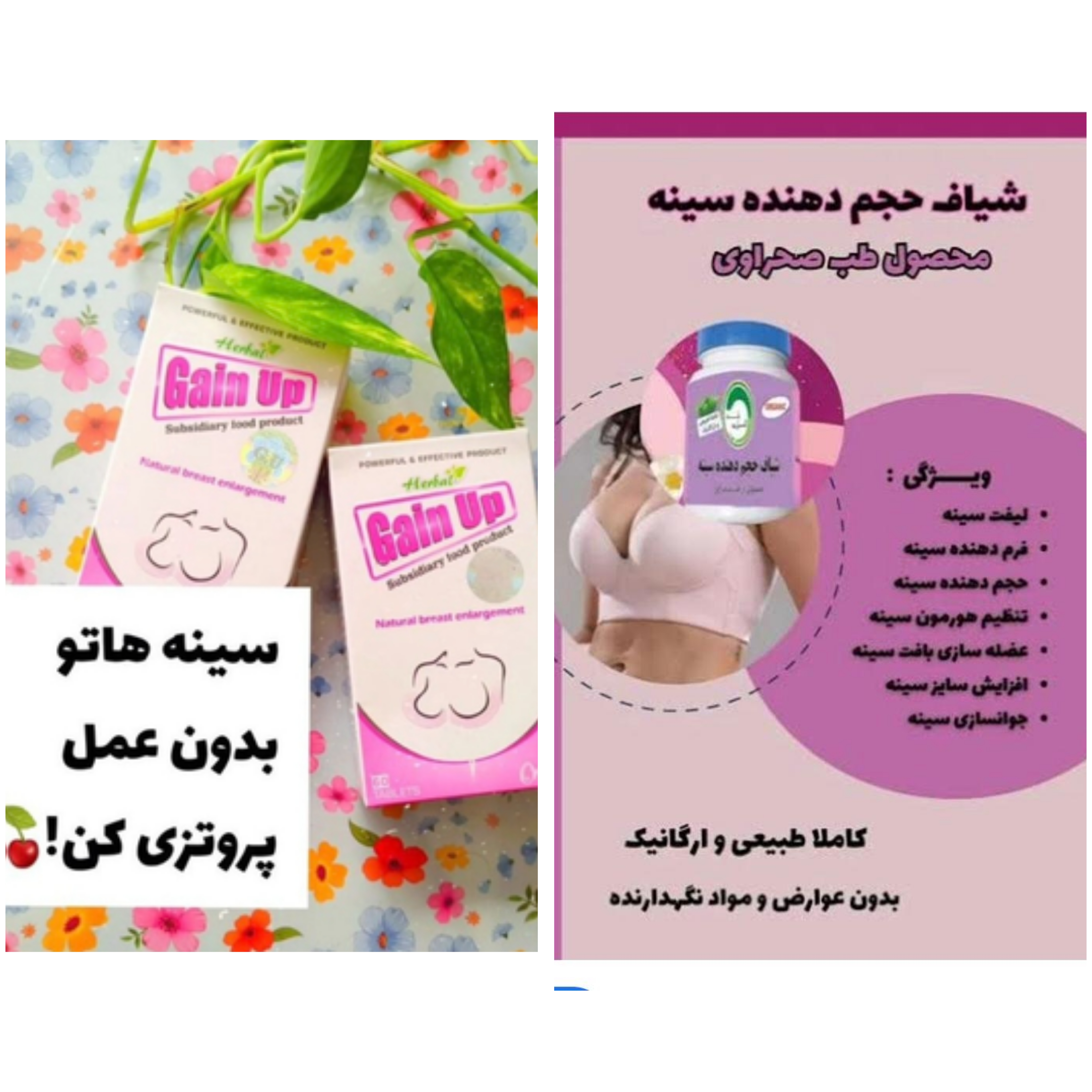 پک‌حجم دهنده  و‌لیفت سینه شیاف سینه طب صحراوی+قرص حجم دهنده سینه گین آپ کیفیت تضمینی